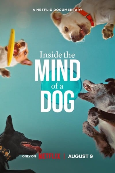 Inside The Mind Of A Dog (2024) | Documentary Movie