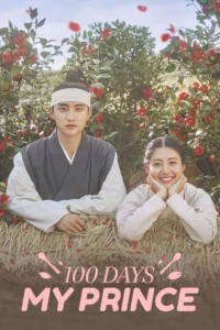 Read more about the article 100 days my prince S01 (Complete) | Korean Series