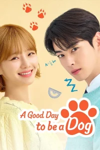 Read more about the article A Good Day to be a Dog S01 (Complete) | Korean Series