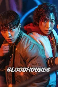Read more about the article Bloodhounds S01 (Complete) | Korean Series