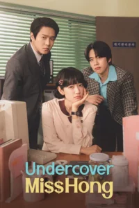 Read more about the article Undercover Miss Hong S01 (Complete) | Korean Series