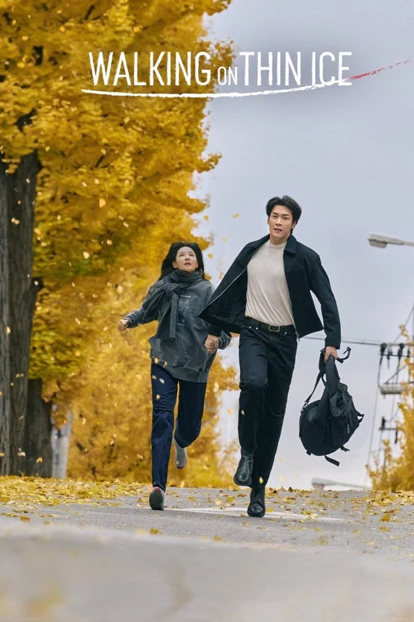 Read more about the article Walking on Thin Ice S01 (Complete) | Korean Series