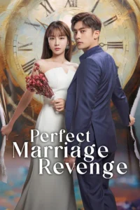 Read more about the article Perfect Marriage Revenge S01 (Complete) | Korean Series